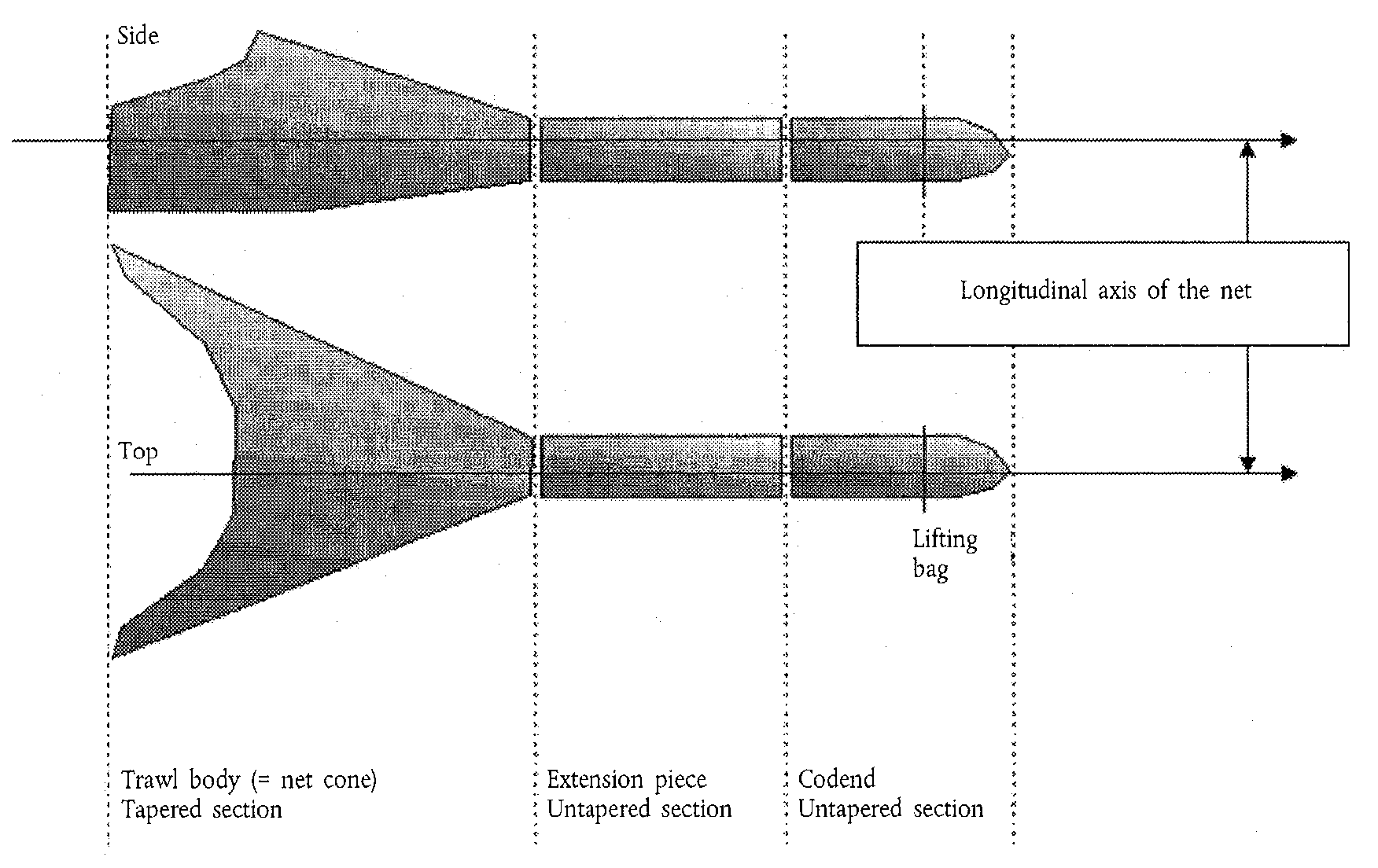 Longitudinal axis of the net figure 2