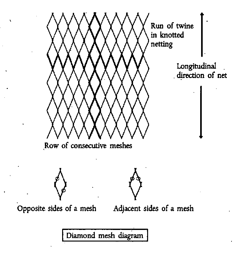 Twines in diamond and square mesh netting figure - diamond mesh