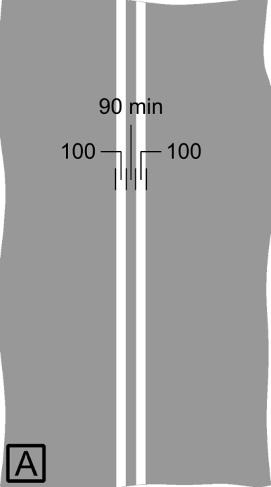 Grey background with 2 white stripes in the centre and measurements