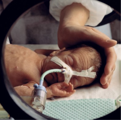 Smoking harms unborn babies